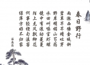 开云官网-2026世界杯出线战，北欧巨人塞尔维亚全面碾压，哈兰德独角戏闪耀全场