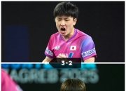 开云体育平台APP-关于日本队横扫葡萄牙队，张本智和统治全场的信息