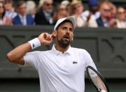 开云体育登录-温网轻取戴维斯杯，德约科维奇惊艳四座