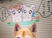 开云-约基奇式智慧觉醒，篮网生死战破尼克斯，丹佛哲学照亮布鲁克林