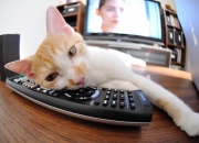 开云体育登录-冷雨夜的三分绝杀，当英超争冠之夜遇上克莱式大心脏