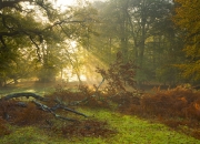 开云体育官网-越位区·油门禁区，当本泽马在F1街道赛之夜扛起全队