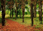 开云平台-暴力美学与精密齿轮，当锡安法则遇上山西方程式