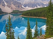 开云APP-北境风暴对抗沙漠之狐，迪亚斯点燃不列颠尼亚的复仇焰火