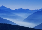 开云-从质疑到传奇，武切维奇的破局之夜，猛龙爆冷掀翻广东王朝