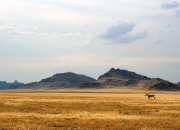 开云体育登录-冰与火的对决，从活塞血拼雷霆到伦纳德奥运封神