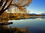 开云下载-迪巴拉时刻，他用唯一的方式定义大场面