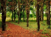 开云体育APP下载-当稳定输出成为冷门温床，范弗利特哲学与广厦爆冷的共通密码