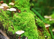 开云体育-因此，唯一性恰恰来自于这种不可能的交集，这是一个只存在于平行宇宙、梦境或某种超现实足球叙事中的瞬间。让我们以此为切口，构建这个独特的故事