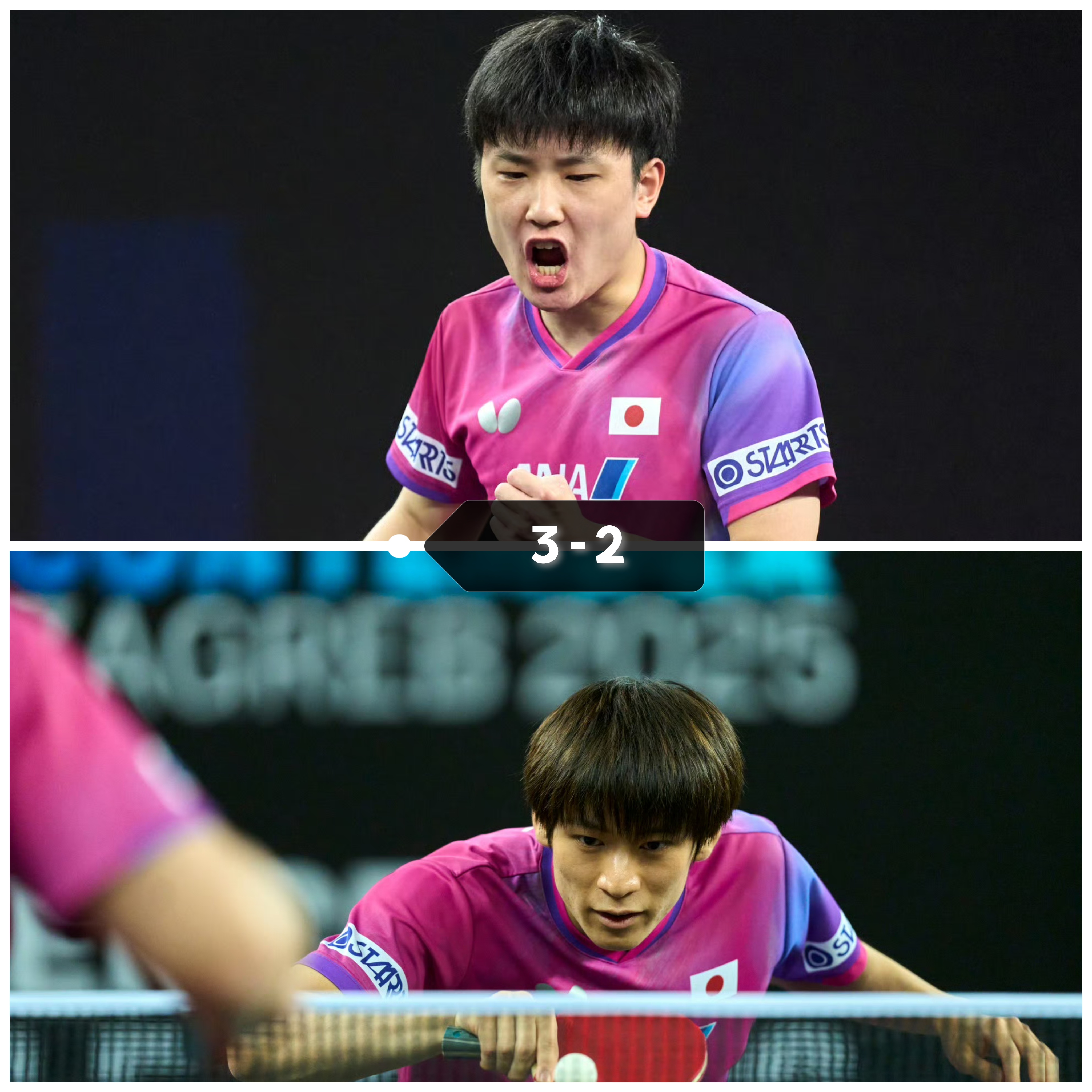 关于日本队横扫葡萄牙队，张本智和统治全场的信息