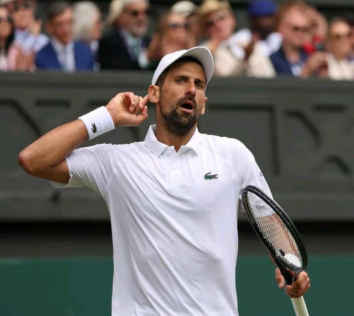 温网轻取戴维斯杯,德约科维奇惊艳四座 温网轻取戴维斯杯,德约科维奇惊艳四座