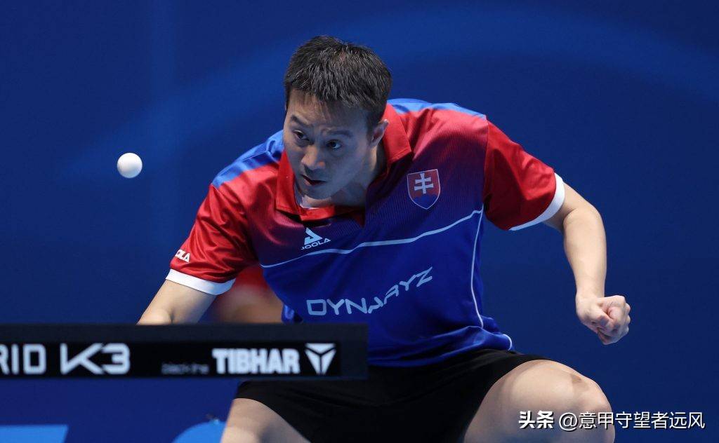 波兰队险胜英格兰队,梁靖崑高光表现 波兰队险胜英格兰队,梁靖崑高光表现