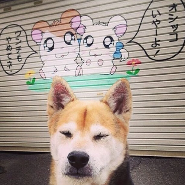 钢铁与火焰，马刺封锁凯尔特人与米切尔的硬仗艺术