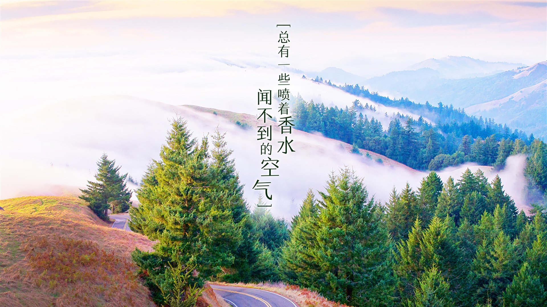 黑马狂奔！山西队冲垮公牛防线，布克关键战手起刀落定江山