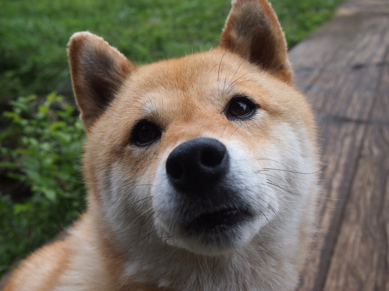 历史进程中的决断时刻，从德甲争冠到中东棋局