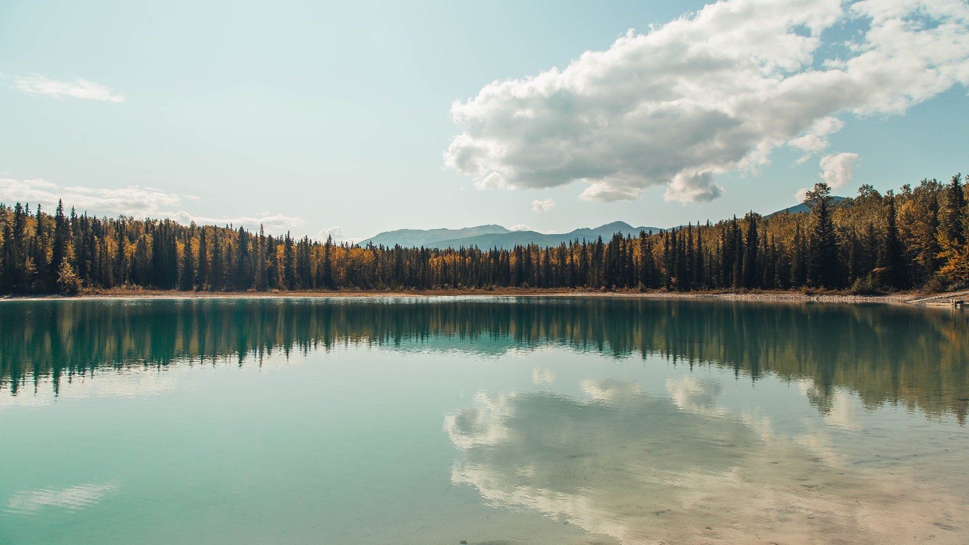 防守大师的红胎战术,从F1进站策略到卡塔尔锁死利物浦的终极演绎