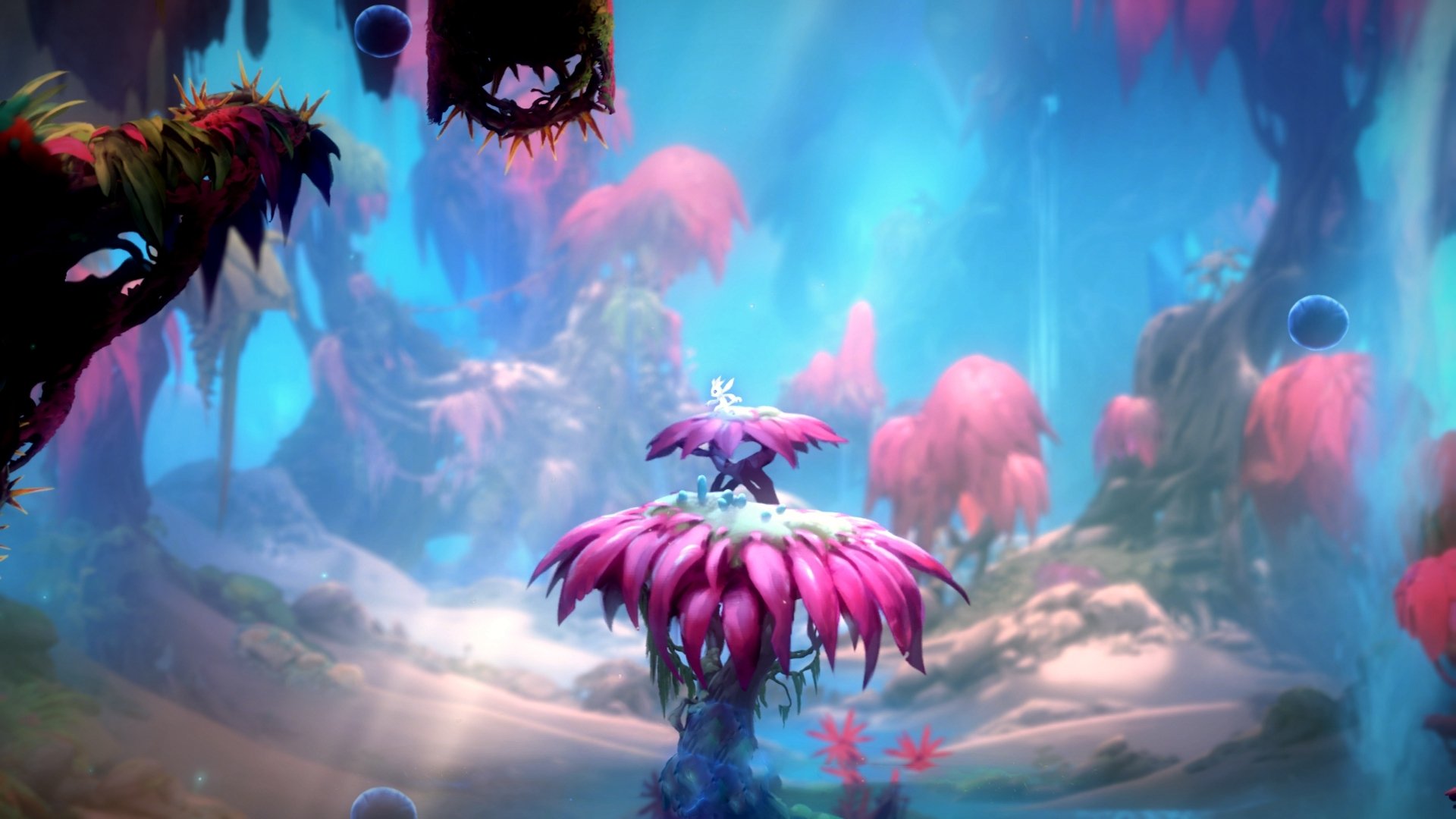 胜负手，解读加拿大击败喀麦隆之战，皮克战术如何成为关键节点上的连续得分利器