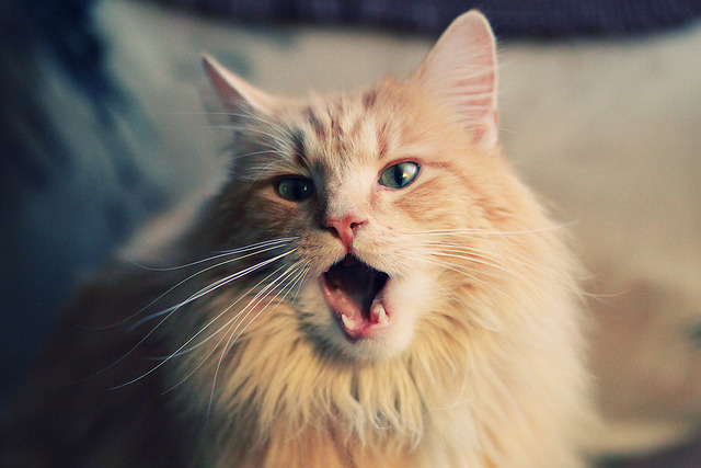 冠军之心觉醒，巴尔韦德双响炮引爆全场，乌拉圭三球轻取乌克兰开启新时代