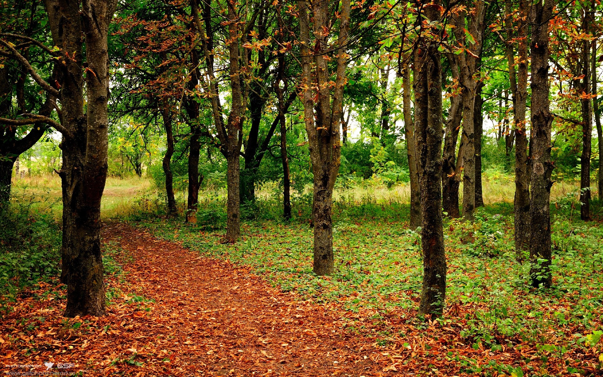 暴力美学与精密齿轮，当锡安法则遇上山西方程式