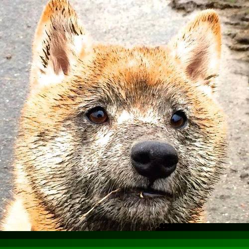 葡萄牙对阵巴萨，一堂名为德布劳内的绿茵教科书