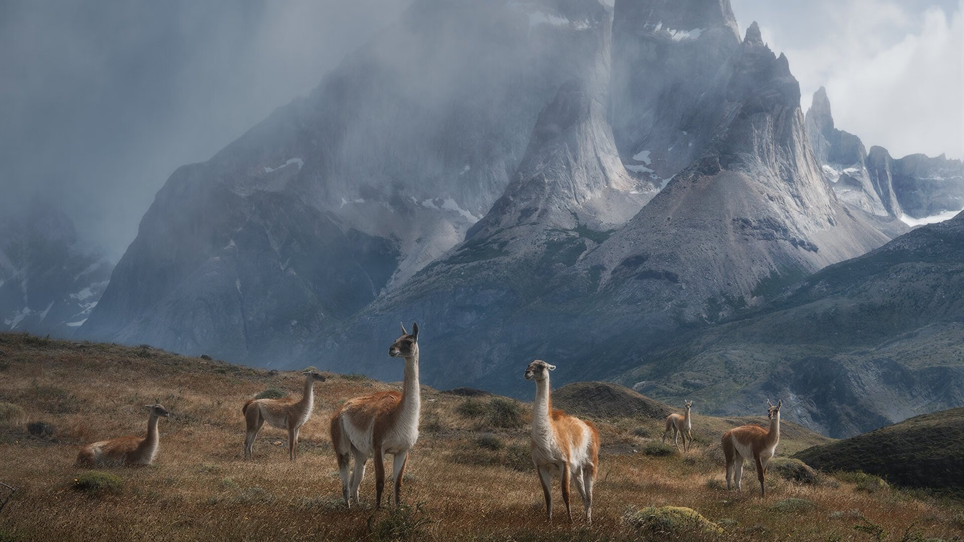 北境铁骑踏破孟菲斯，双面米切尔照亮中美篮球夜