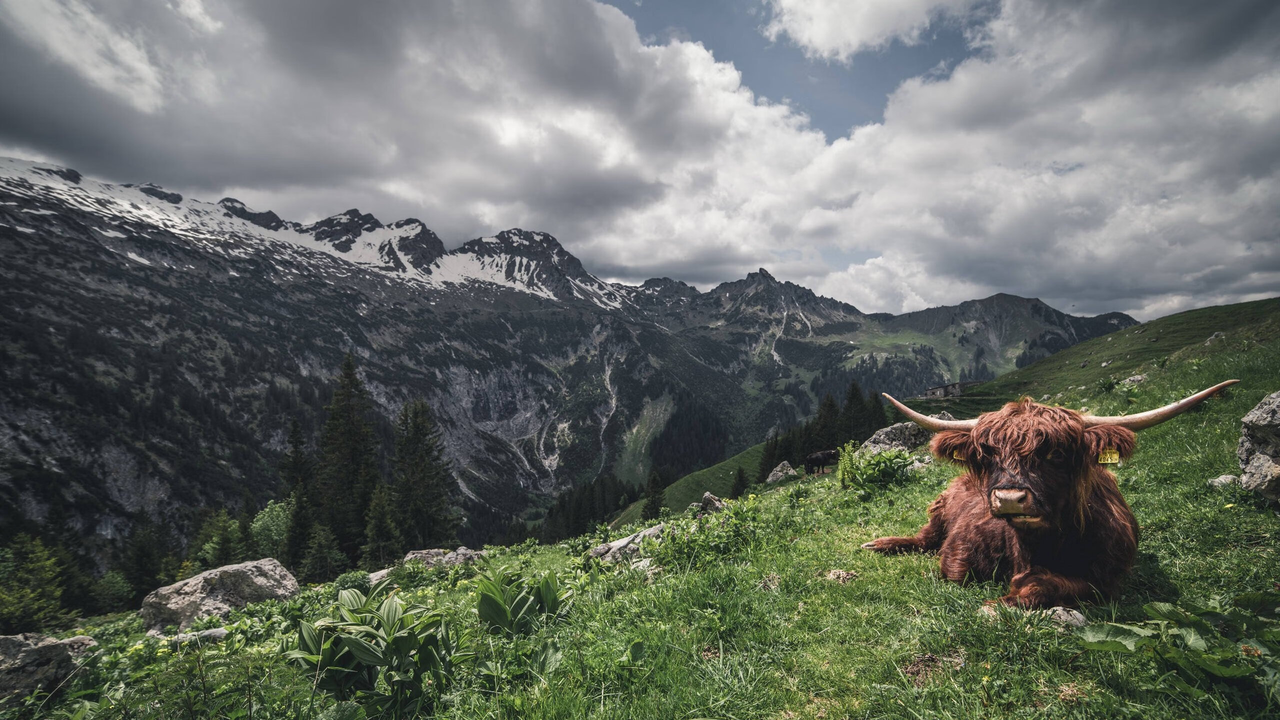 那一天，足球经历了两次地震，维尼修斯在葡萄牙对阵希腊的时空裂缝中，改写了历史