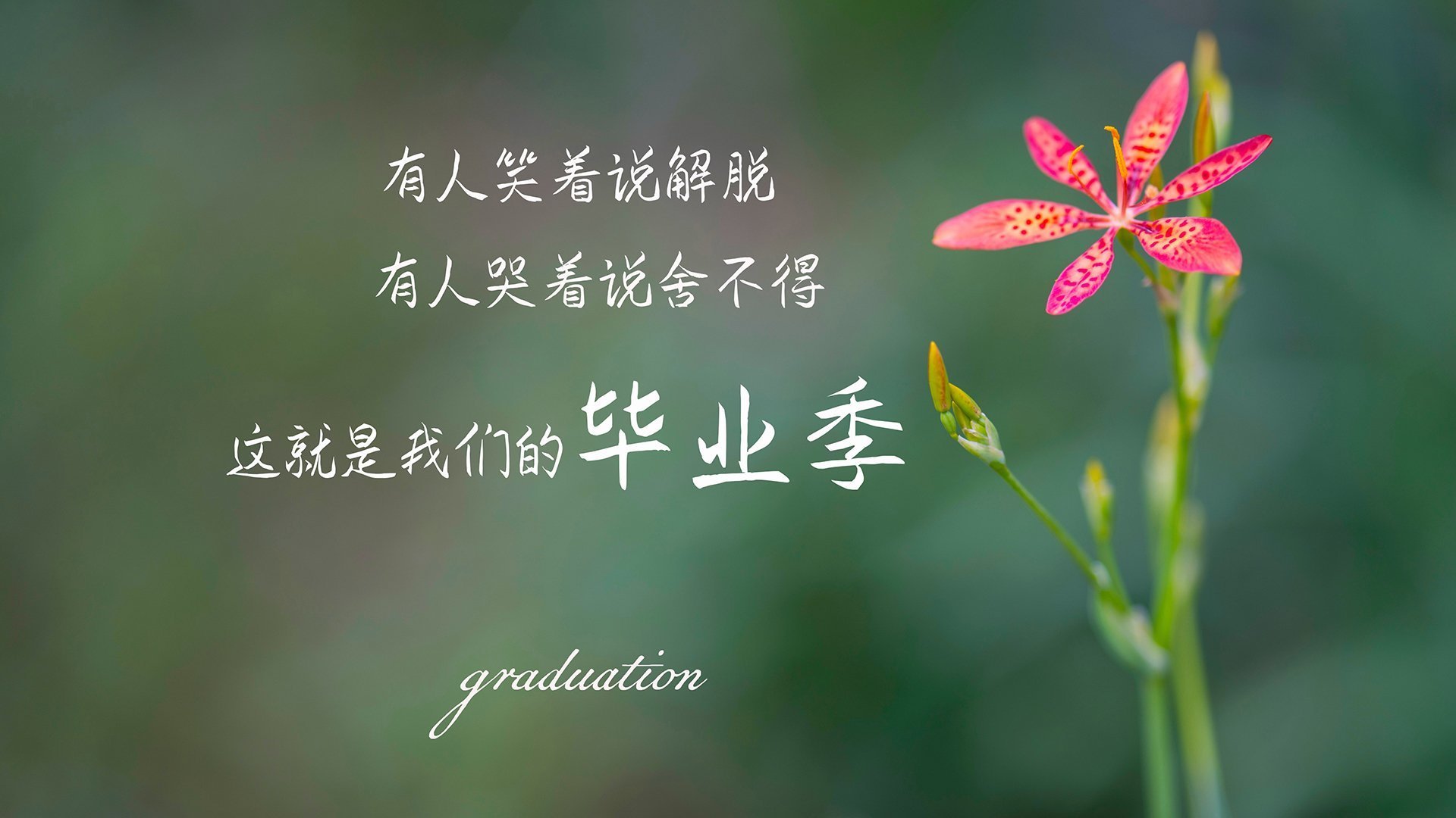 绝杀与主宰，法国终场逆转智利，法比尼奥西甲德比书写传奇