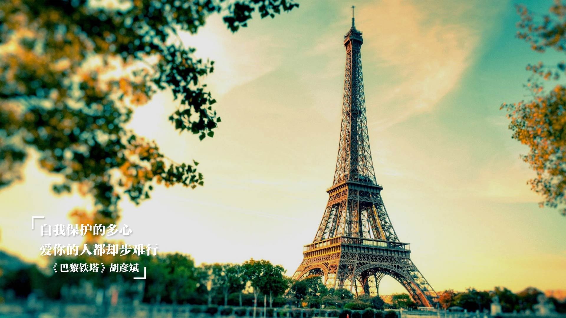 末节之王！小贾伦刷新纪录之夜，他是如何让圣城忘记文班亚马的？