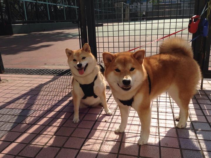 关键先生与黑色洪流，班凯罗三记重锤击碎华南虎不败金身