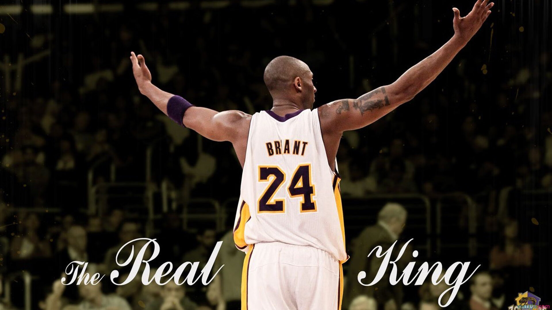 封锁拜仁引擎，厄瓜多尔在美加墨世界杯的战术革命