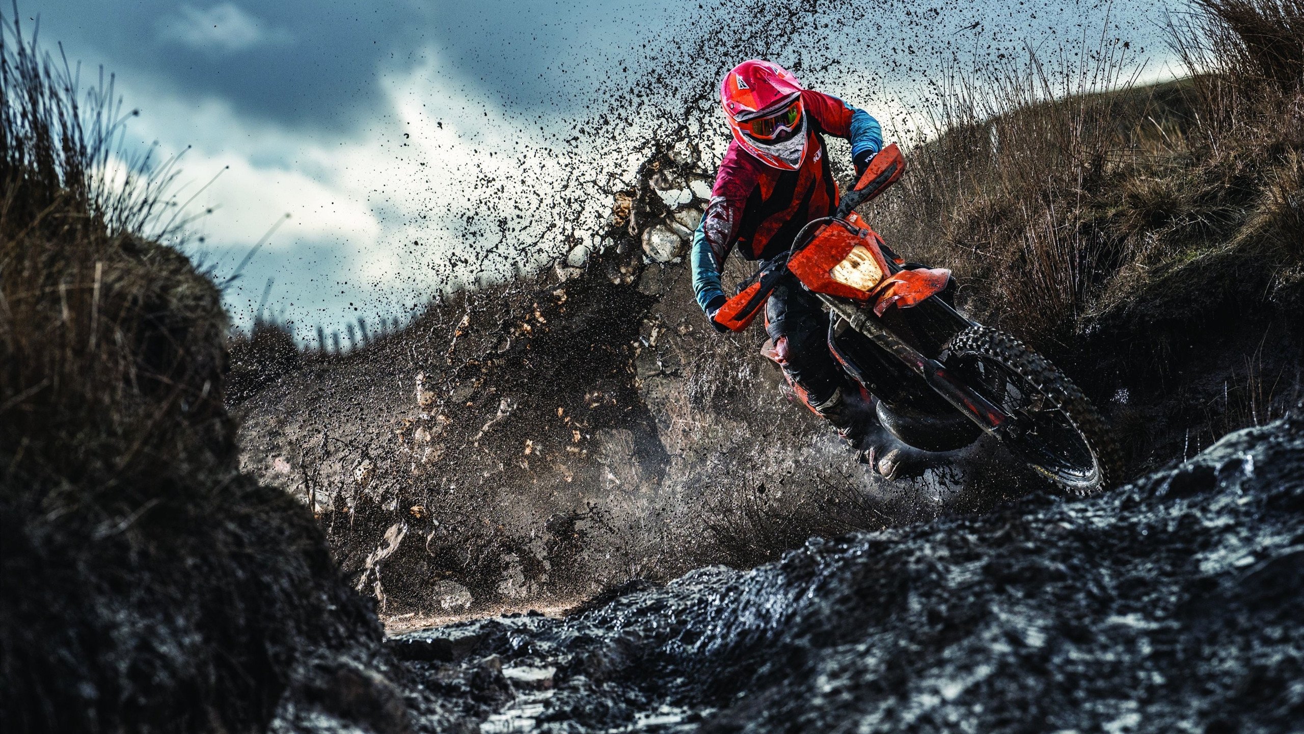 引擎轰鸣与绿茵智慧，当F1战术驶入欧冠之夜