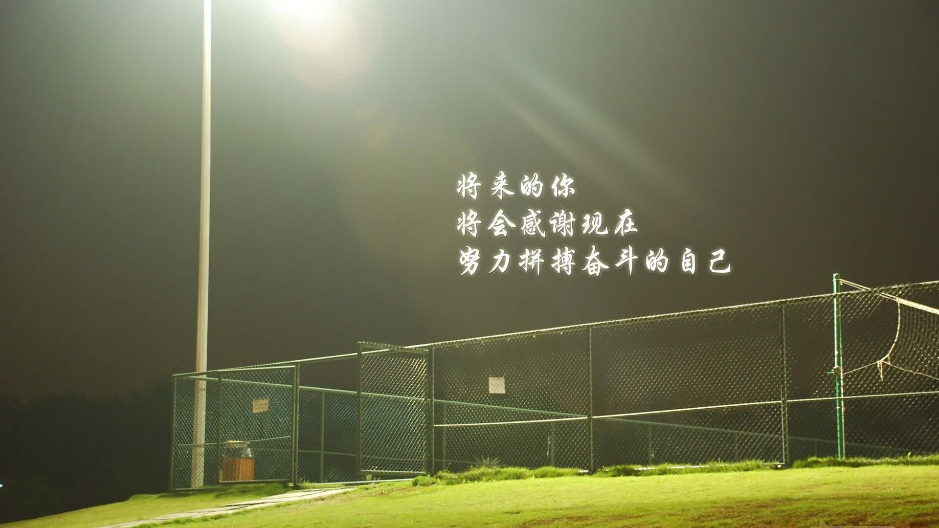 沙漠风暴席卷斗牛士,2026世界杯G组,乌兹别克斯坦缔造神话,范戴克铁血身影照亮赛场