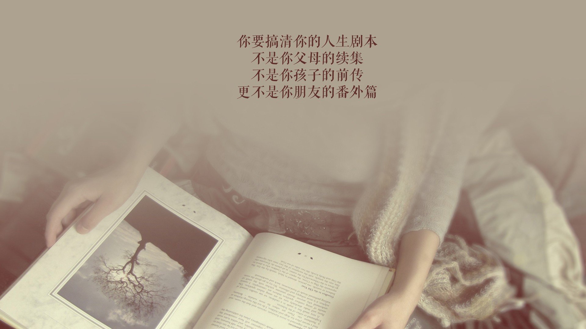 蓝白风暴下的致命反击，2026世界杯F组，乌拉圭碾压智利，萨卡一剑封喉