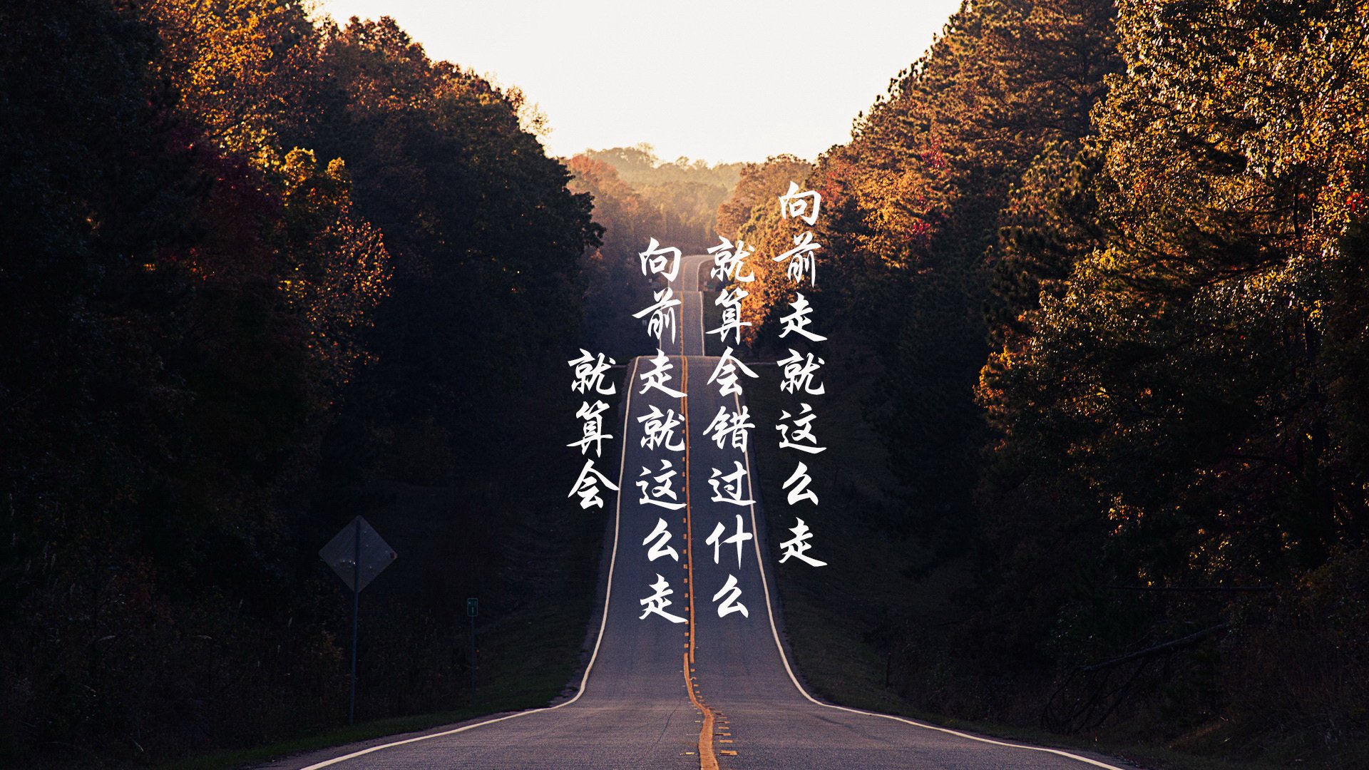 逆转之夜的唯一答案,2026世界杯E组,厄瓜多尔撕碎命运,梅西用犀利进攻重写剧本