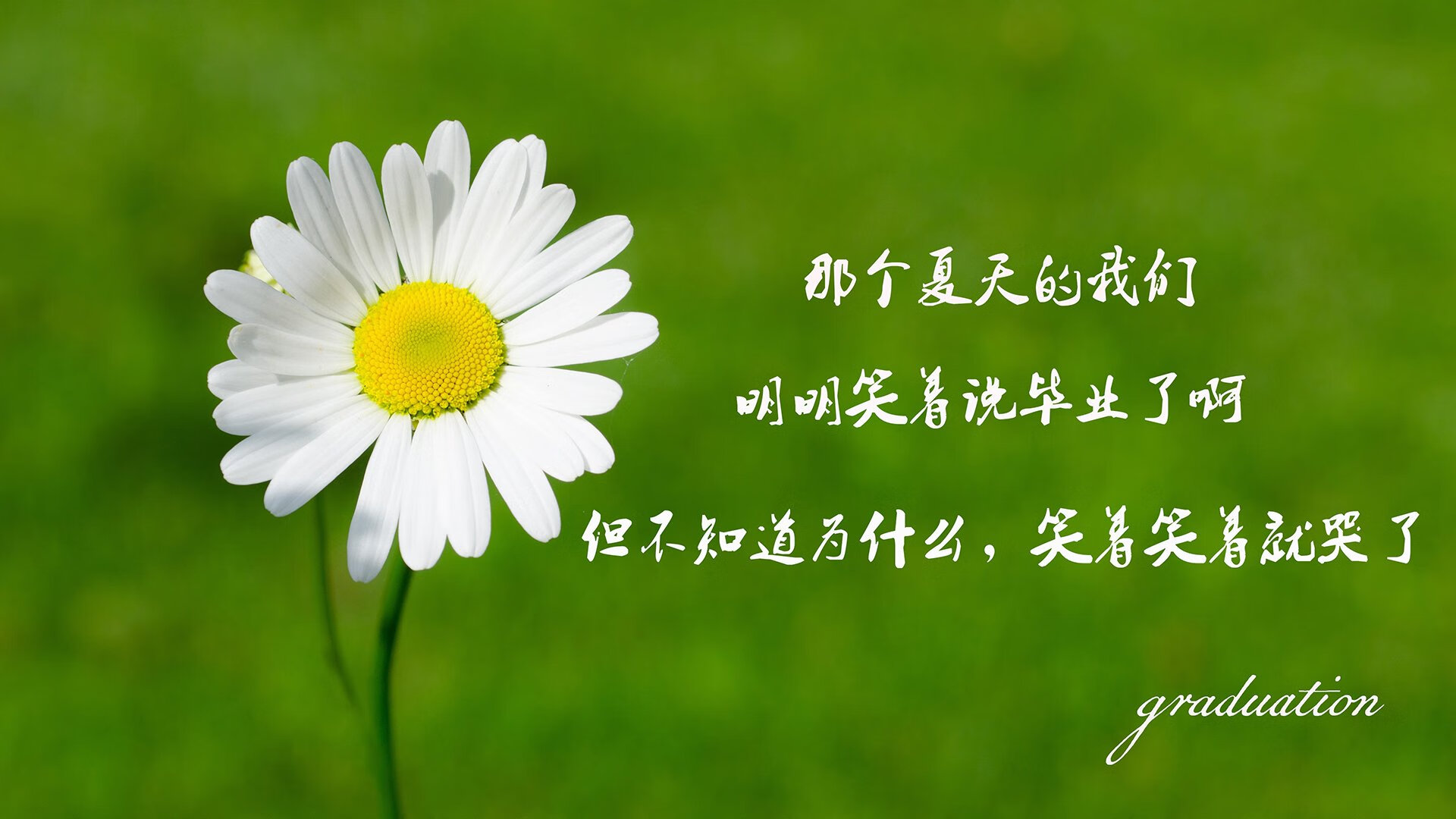 逆转之夜,2026世界杯揭幕战,京多安致命一击书写捷克传奇